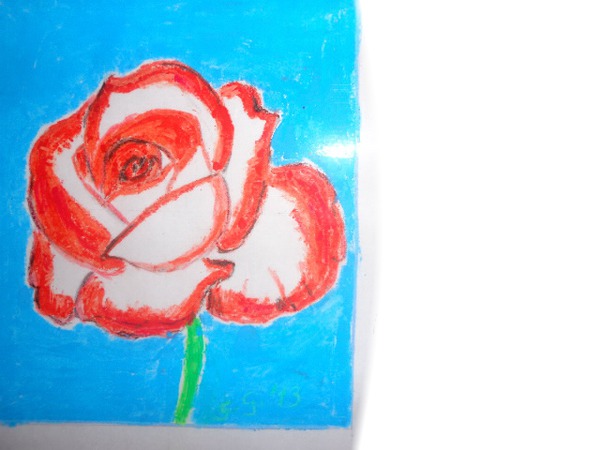 ROSE COULEUR ROUGE ET BLANCHE (pastels et crayons) FAIT PAR GINO GIBILARO Fotomontāža