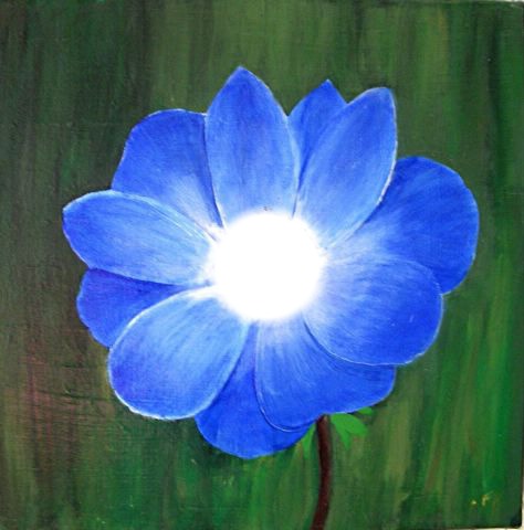 fleur bleue Montage photo