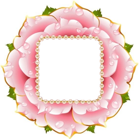 marco perlas y rosa rosada. Fotomontage