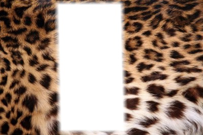 mini léopard 2 Photo frame effect