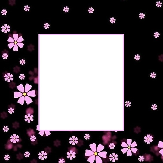 marco y florecillas rosadas, fondo negro. Fotomontage