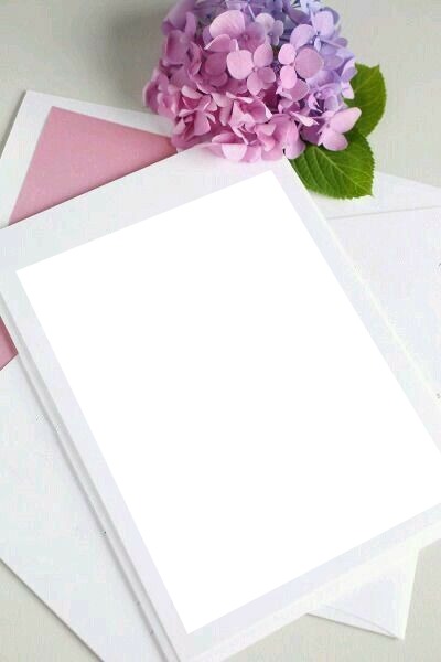 carta y una flor lila. Fotomontasje