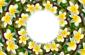Fleur Tiarer jaune 2 Fotomontage