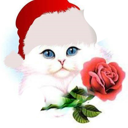 chat noel avec une rose 2 photos Φωτομοντάζ