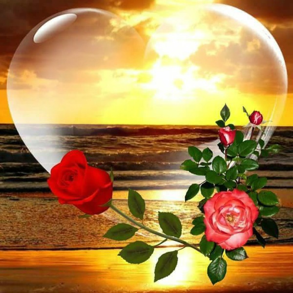 renewilly corazon transparente y rosas Montaje fotografico