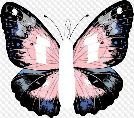 Mariposa hermosa Valokuvamontaasi