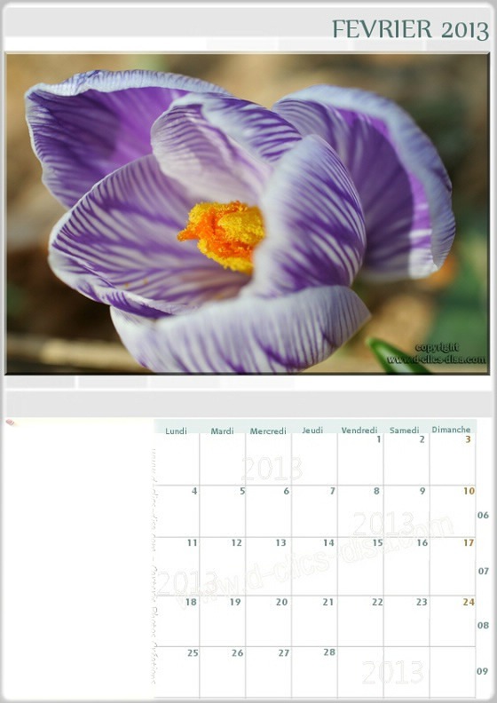Calendrier mensuel 2013* Montaje fotografico