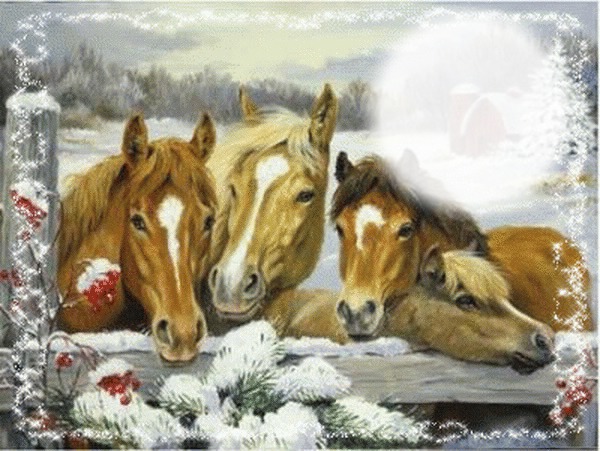 Chevaux Photo frame effect