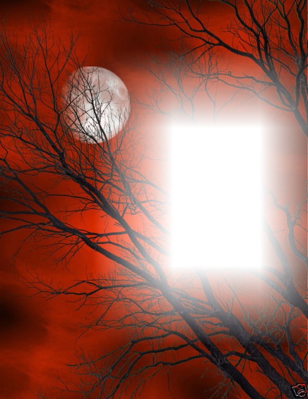 Noche lunar Fotomontaggio