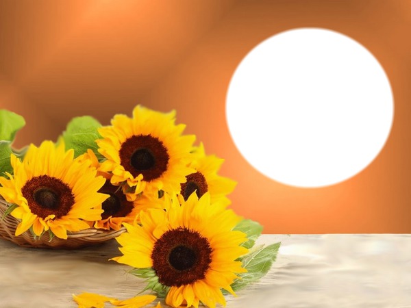 Podzim,slunečnice Fotomontáž