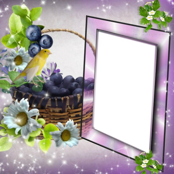 Cadre violet raisins Fotomontage