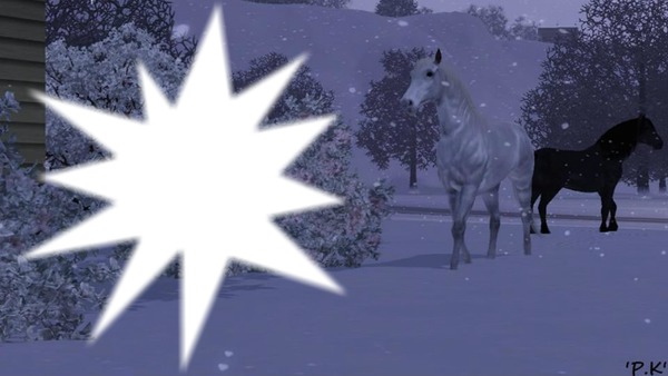 konie z sims 3 Photo frame effect