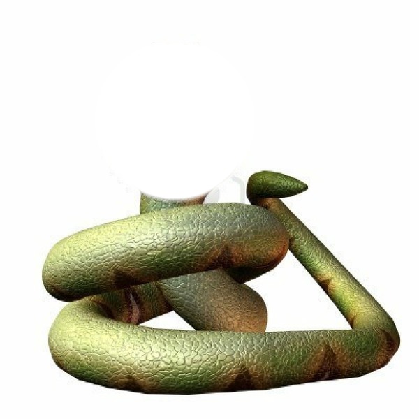 serpente Fotomontagem