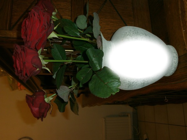 roses de " noël " Photo frame effect