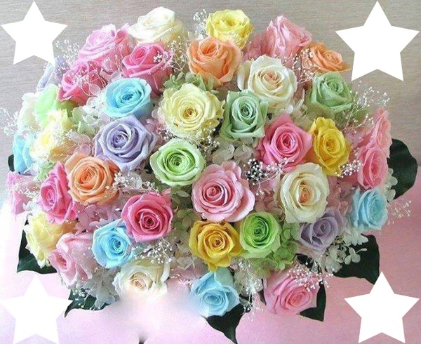 bouquet de roses au couleur pastel 4 photos Fotomontāža