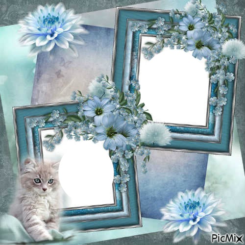 cadre fleurs chat Montage photo