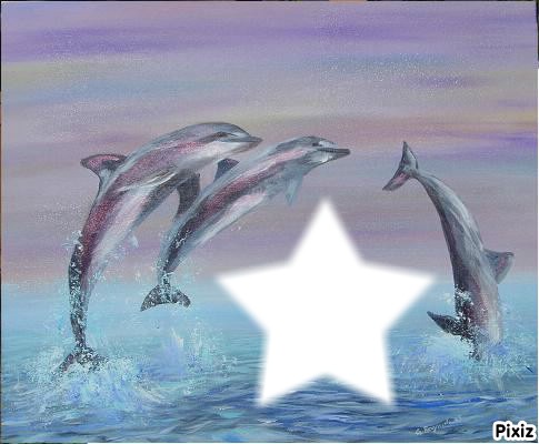 delfini 2 Photo frame effect