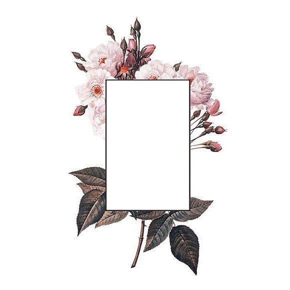 marco sobre flores rosadas. Fotomontage