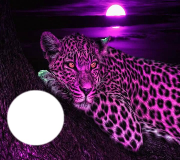 purple leopard Fotoğraf editörü