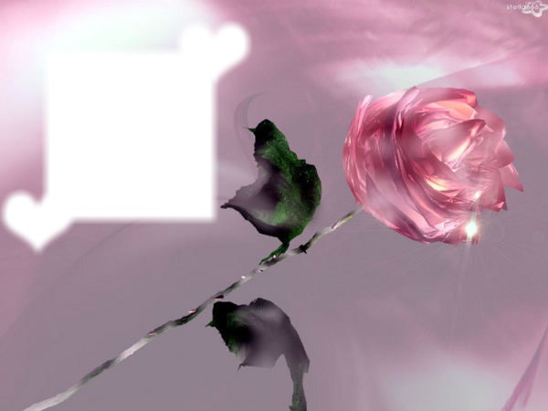 Rose d'amour Photomontage