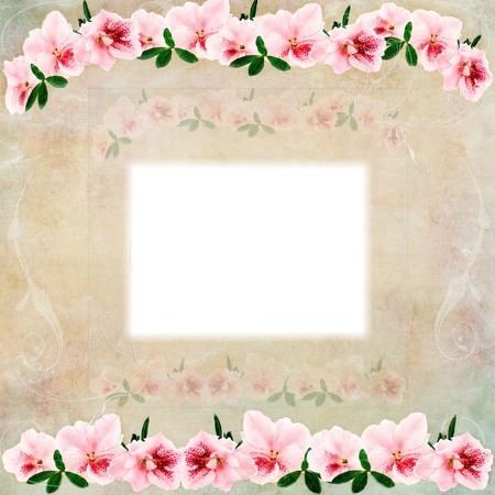 floral Photo frame effect