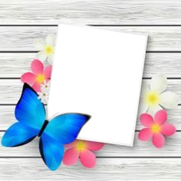 marco sobre madera, detalle mariposa azul y flores. Photo frame effect