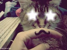 Moustache chat Photo frame effect
