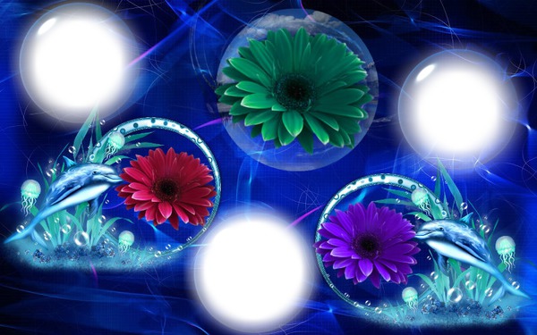 Cadres bulles fleurs Photomontage