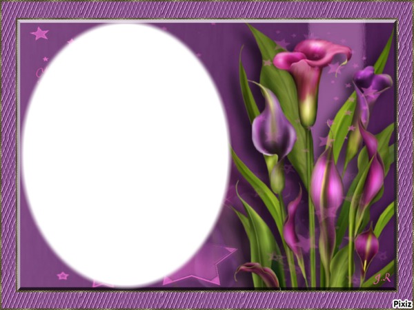 La fleur violette Photo frame effect