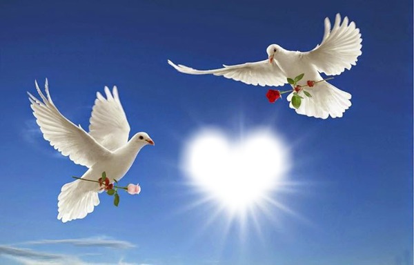 Deux colombes blanches Fotomontažas