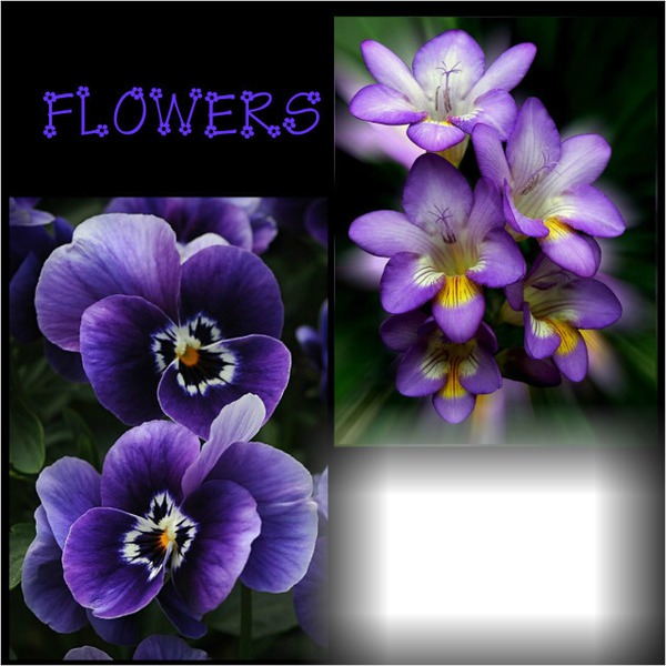 Flowers Фотомонтаж