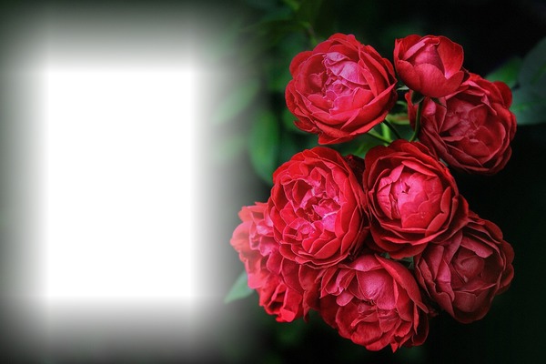 rózsa csokór Fotomontage