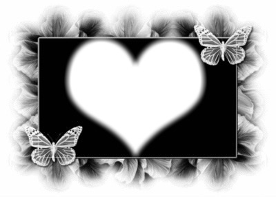 cadre coeur et papillons Montage photo