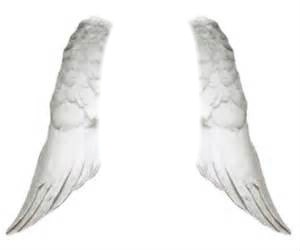 ailes d'anges2 Фотомонтажа