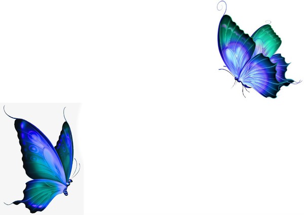 borboletas / mariposas Fotomontaža