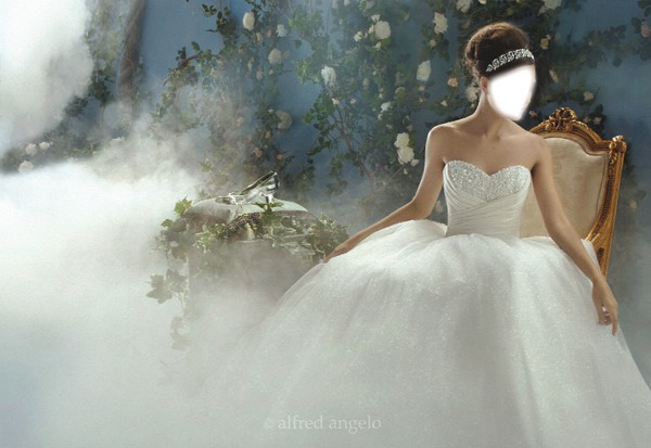 cinderella dress robe cendrillon Photo frame effect