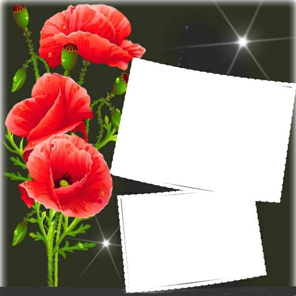 Cadres fleurs Photomontage