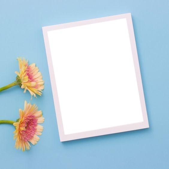 marco blanco para una foto y flores, fondo celeste. Fotomontáž
