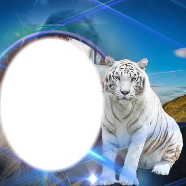 franco tigre bianca Fotomontaggio