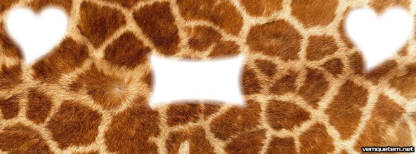 Capa de pele  girafa Photo frame effect
