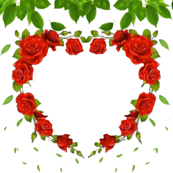 corazón de rosas rojas. Photo frame effect