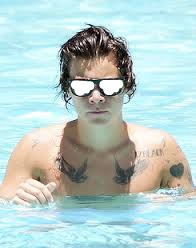harry Styles Lunettes Montage photo