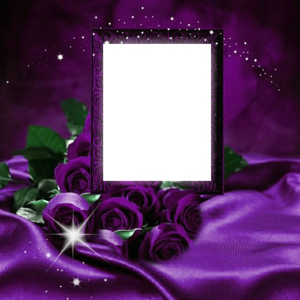Purple rose Fotomontaža