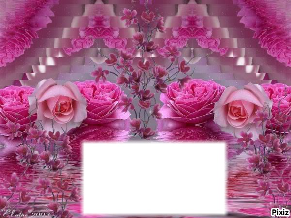 pink fl0wer Photo frame effect