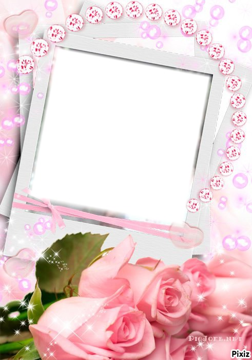 cadre en rose Photo frame effect