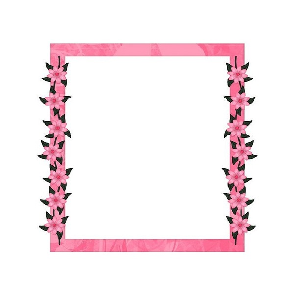 marco rosado y flores. Fotomontage