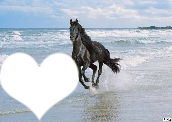 cheval sur la plage フォトモンタージュ