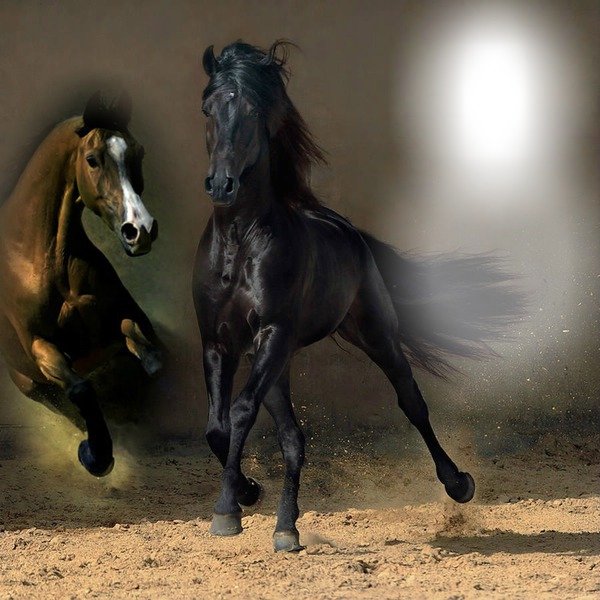 Tony Horse Photomontage