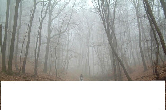 brouillard Fotomontaggio