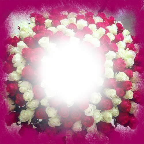 Monalisa-Rote & Weiße Rosen Fotomontage